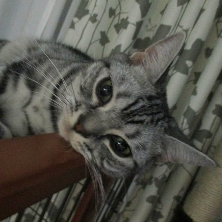 Fe4745fd ea24 4a1a bd30 24b76817455d 1565090909752