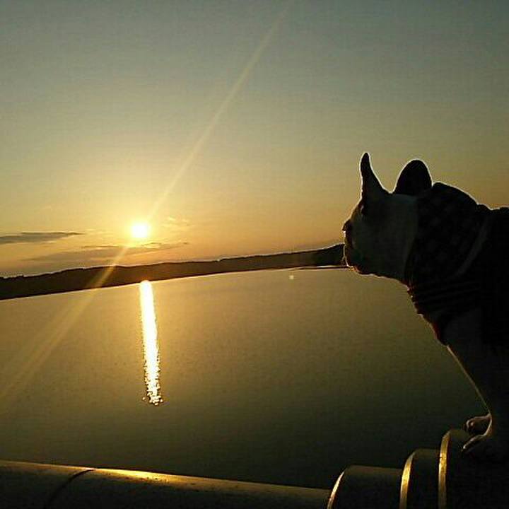 Fe47943a 9859 4f25 a859 0f0fca565927 1509872140112