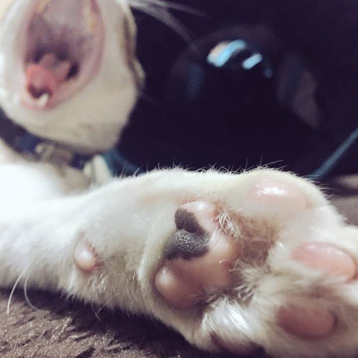 Fe47b1b3 3c50 4aae 96b9 89f90206de9b 1518175842993