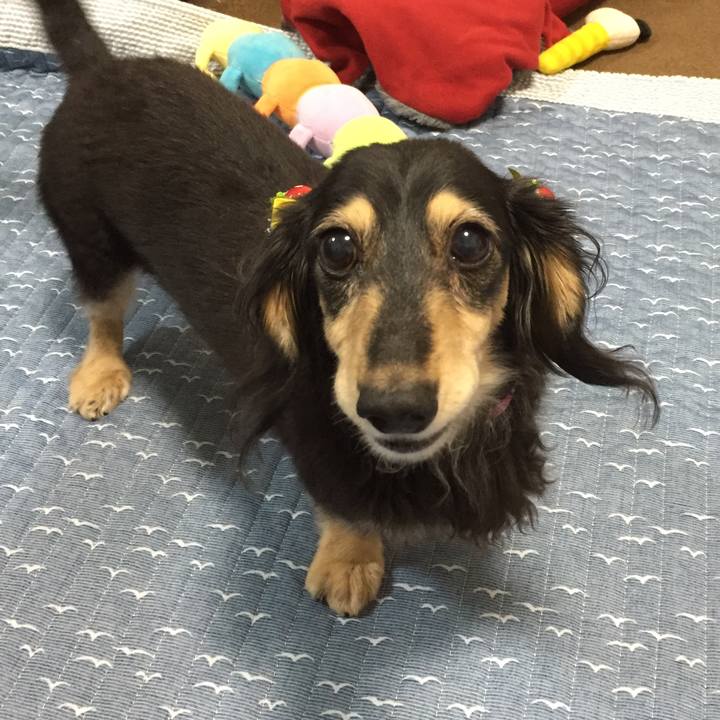 Fe47f19c b38c 433a b148 5fe16ce4002e 1570967364443