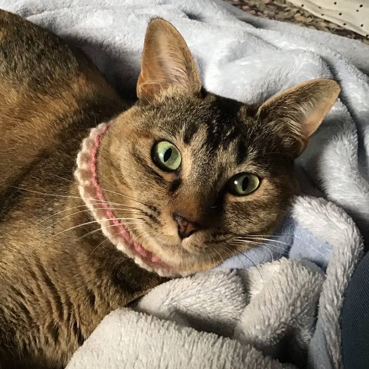 Fe483b22 0754 49e1 af14 25897fab45a6 1623971134733