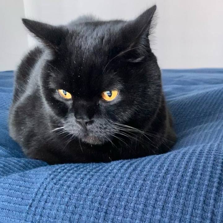 Fe4860e7 6360 47c6 88c8 a16d9c930eaf 1643958335805