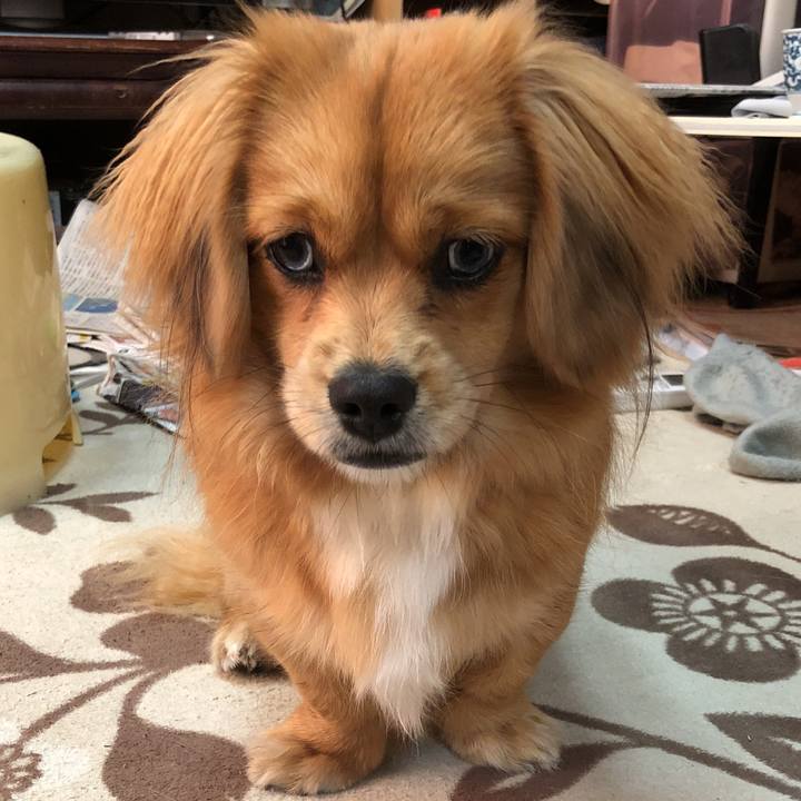 Fe48abc7 c7df 4e5d be67 91db949838e0 1513722549966