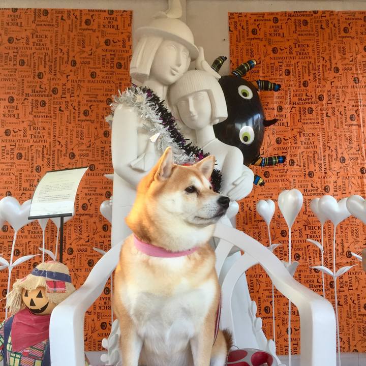 Fe48cf1f b406 48f8 8b26 c12ea81ab2dd 1540940922438