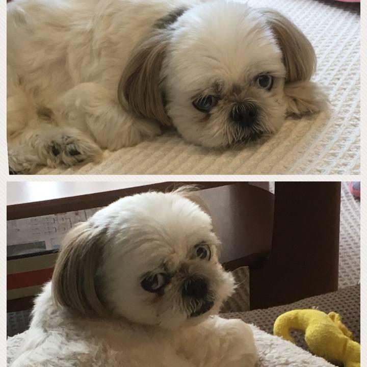 Fe48e489 e748 4057 b373 60b88d046d19 1530345178342