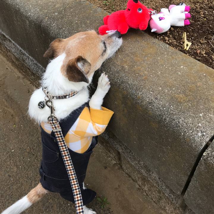 Fe48e5f8 ce9e 4bf6 9b21 afdd65648bda 1586935020970