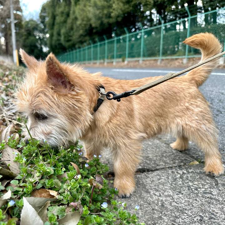 Fe496272 95ca 48d9 8f18 8b740caae308 1708267902544