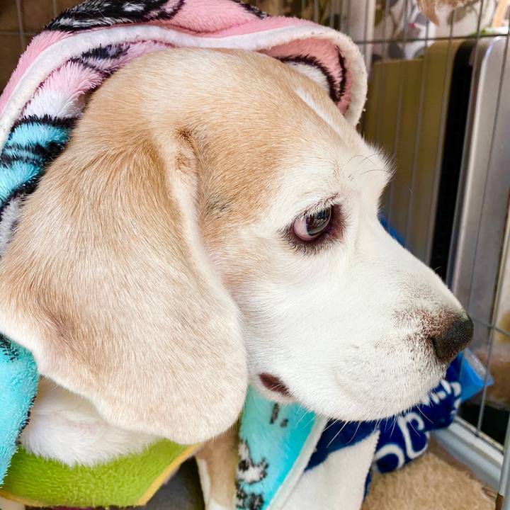 Fe498654 0499 431d 9cf6 2d7c5c35abdb 1586933241047