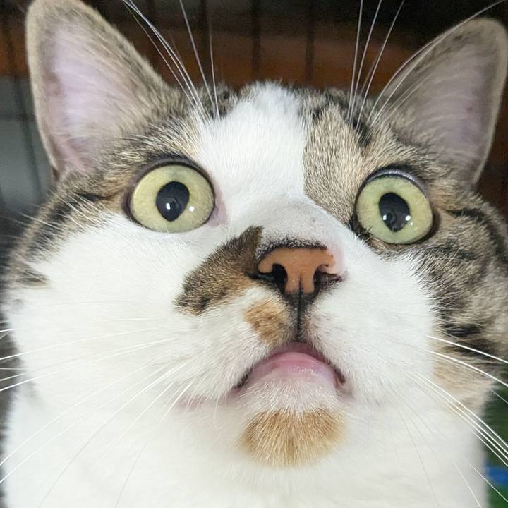 Fe49b734 c68c 409e b535 d4122582036d 1752494684625