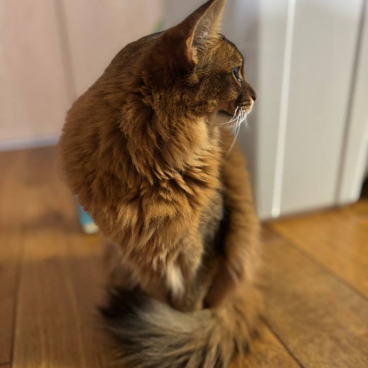 Fe49d825 65c1 4922 9e22 765a4d549925 1762314083224