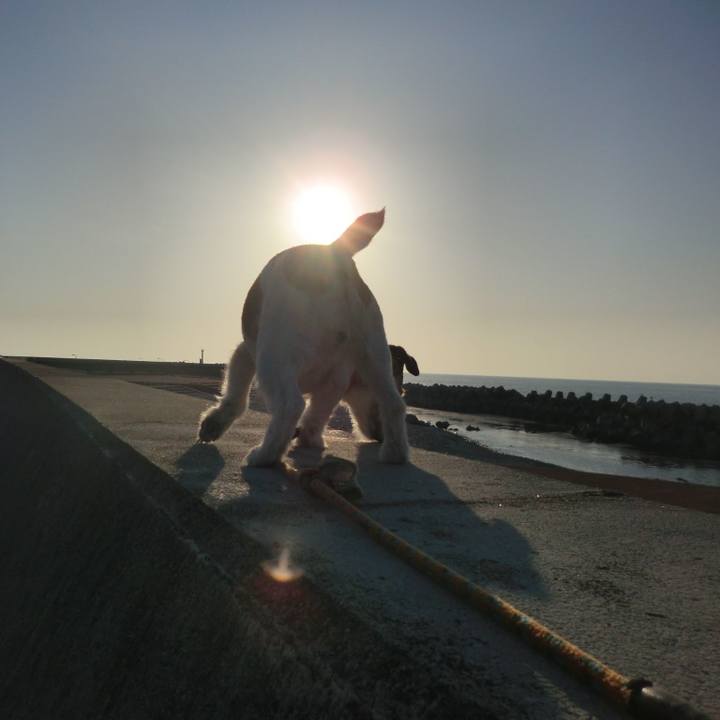 Fe49e182 a0d1 4f5f 8463 bd28a36b94c6 1552828350961