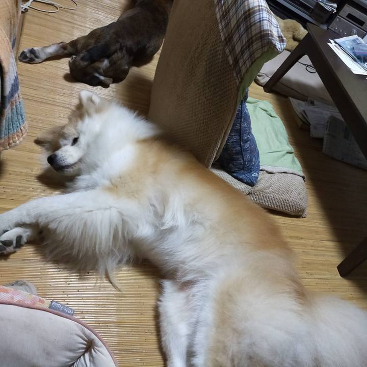 Fe49ed13 18cd 4853 a7f2 248aceb75a40 1658666926129