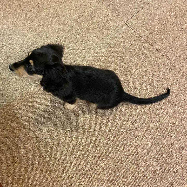 Fe49ed4b a85c 4b38 a82b 00157bfa306a 1665235498121