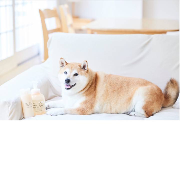 Fe49f0f1 6e9a 4919 bf3f da8de09cd0ed 1688300174994