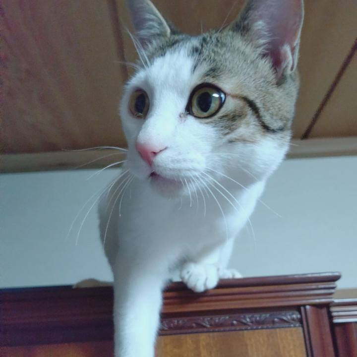 Fe4a652d 4363 48f9 a387 8e32b470b99b 1647598938383