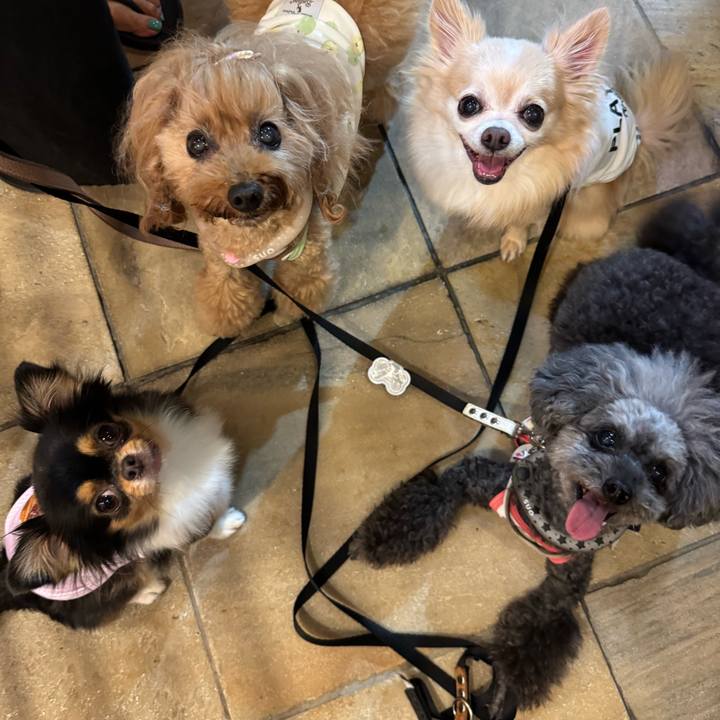 Fe4a98ef f82c 46a8 87c9 c52a9ed07e4c 1757543833055