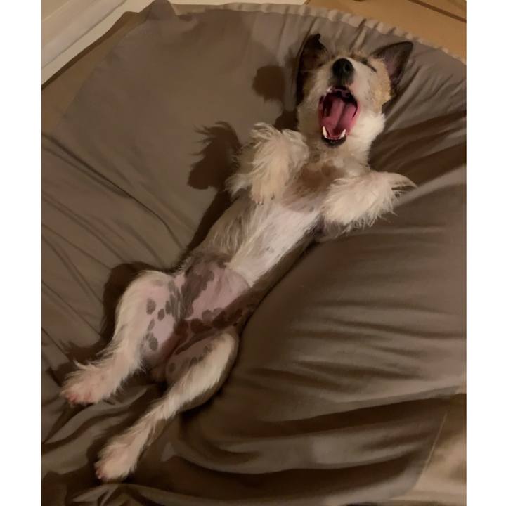 Fe4acba9 5ceb 41d1 bf59 164c787789c0 1589290761609