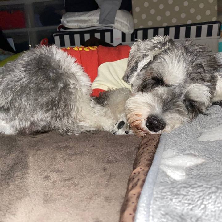 Fe4acd93 7659 42b7 b596 fd2b8e2a5598 1578844213008