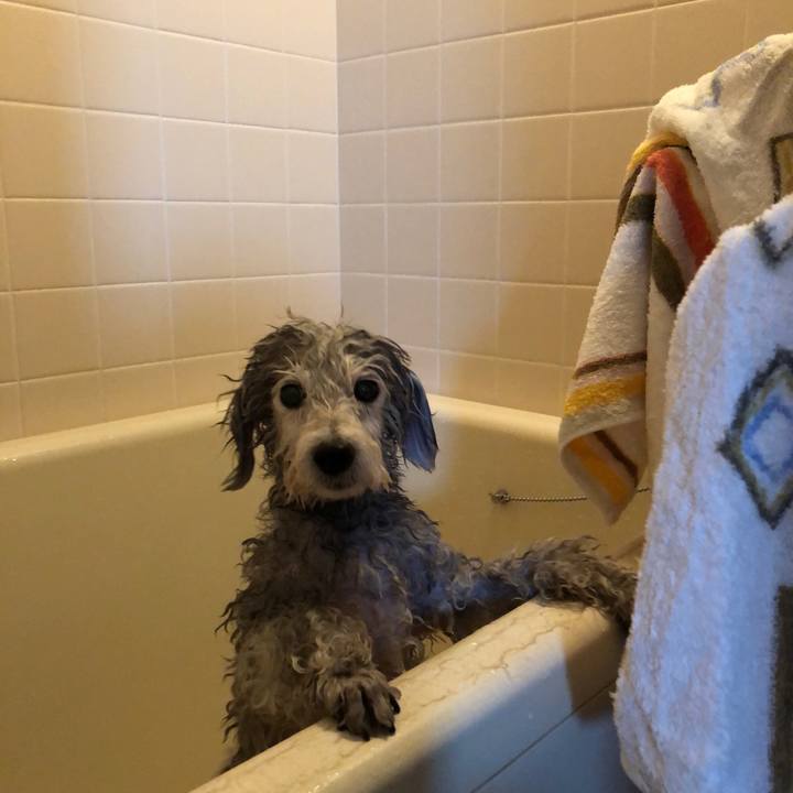 Fe4acf0d b559 4558 9ac6 b46b14ca4cf4 1556605195293