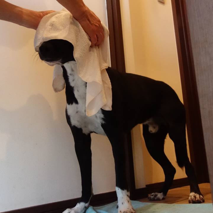 Fe4ad0ff 03a4 4800 9f1e 5a8bae2643cb 1590712471401