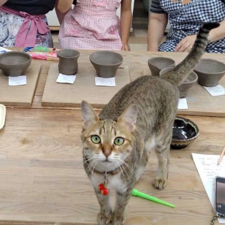 Fe4aeb08 198a 4bed a475 71a73641bcdd 1658932481587