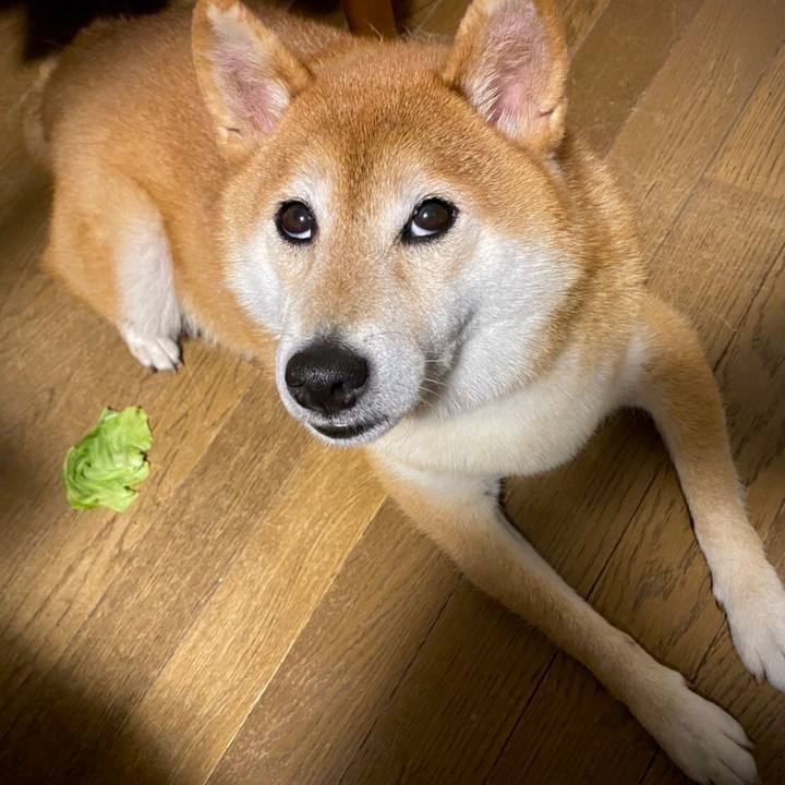 Fe4b22bb 05ac 4013 a32a 400c9adf060c 1632397170048