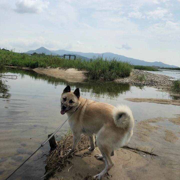 Fe4b7426 863c 4a0e afd8 e74d8c31a3e4 1596370351681