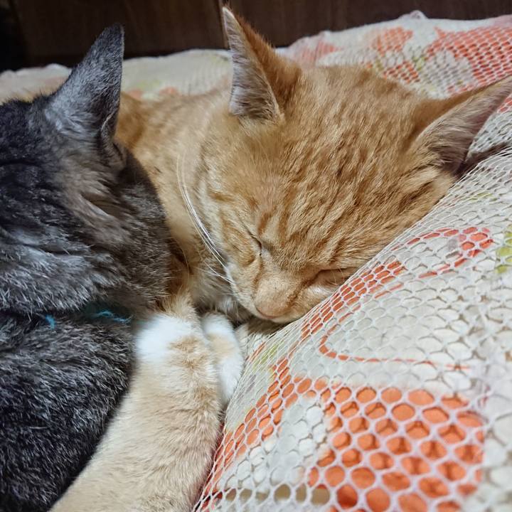 Fe4b949b 8c7a 4aea b69a 69b4b274c7fc 1574253020789