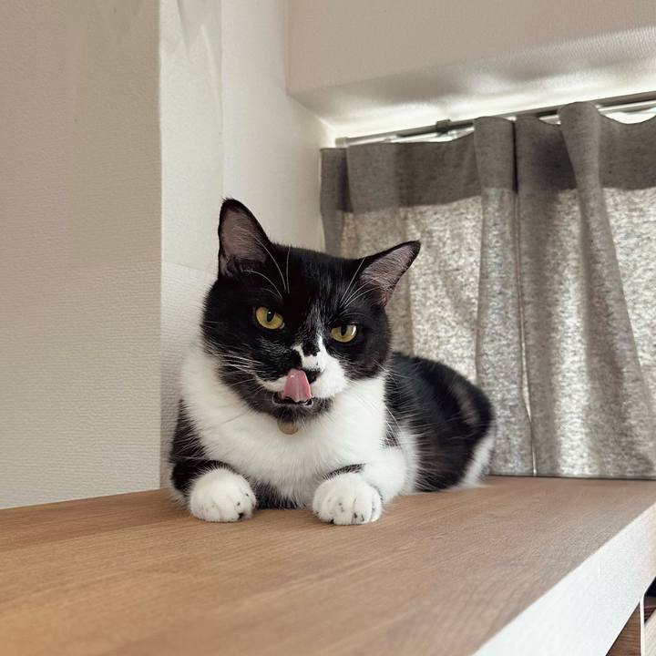 Fe4b97a5 bce1 45f4 9725 c81cf6adc01e 1754450392716