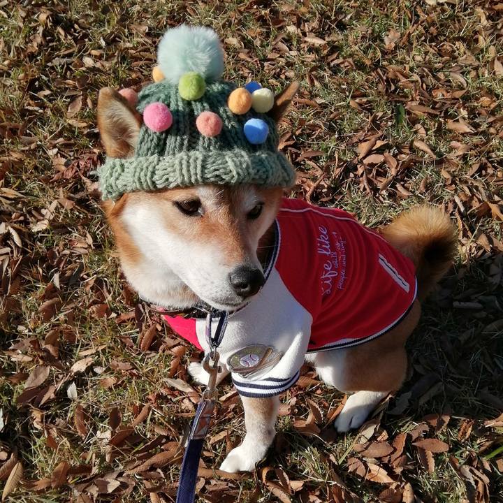 Fe4bb29f 51eb 443e 9e37 23afed626dc2 1671155455007