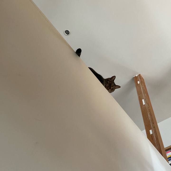 Fe4bde33 6913 4973 ada8 f6835cb72ce7 1742431383641