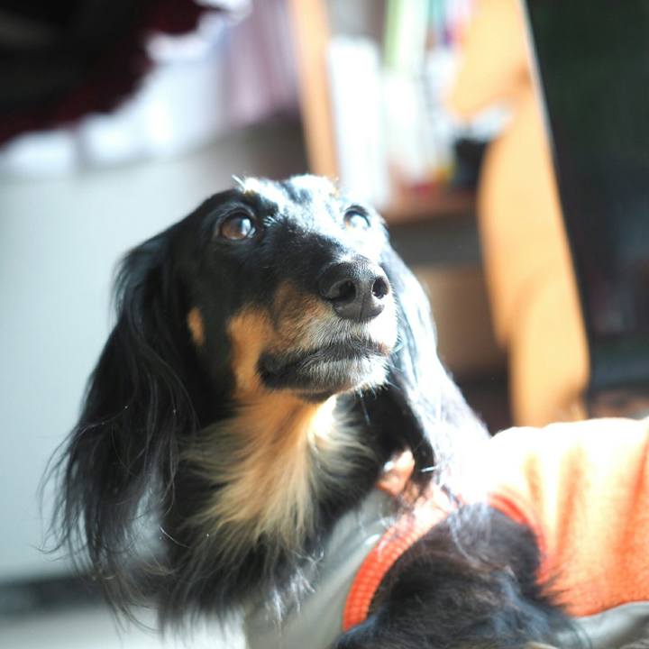 Fe4c0515 a07c 4be5 a238 b71b51c68325 1578660709160