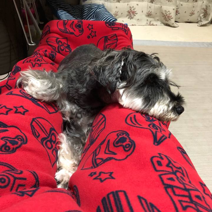 Fe4c1a36 73f4 437e 832f b3e79868312e 1634044662087