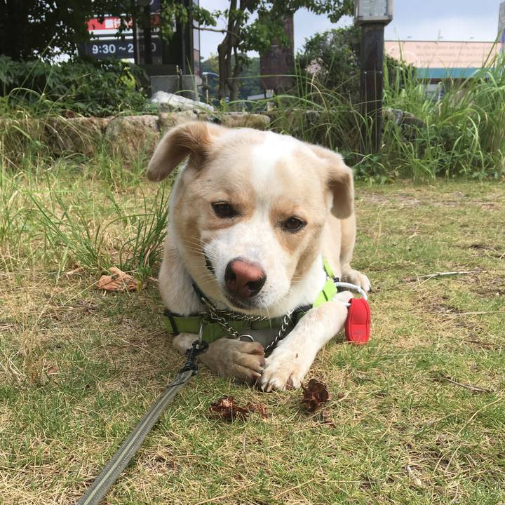 Fe4c3deb d10e 4029 a10d 71bbd56acdc1 1533945258554