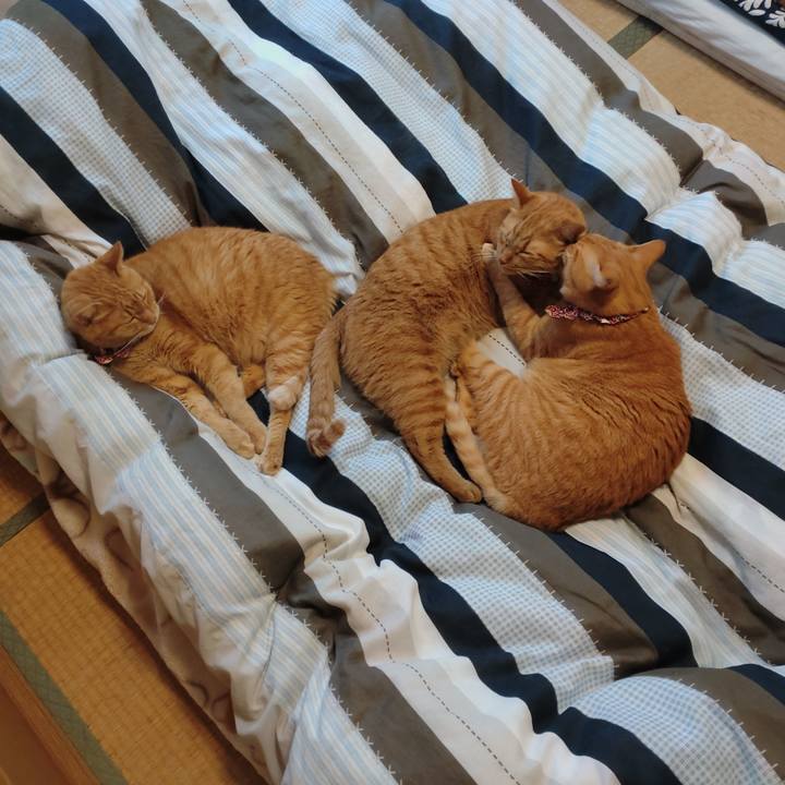 Fe4c41ab 3c10 4c52 b47e e535e0b21afc 1633069865892