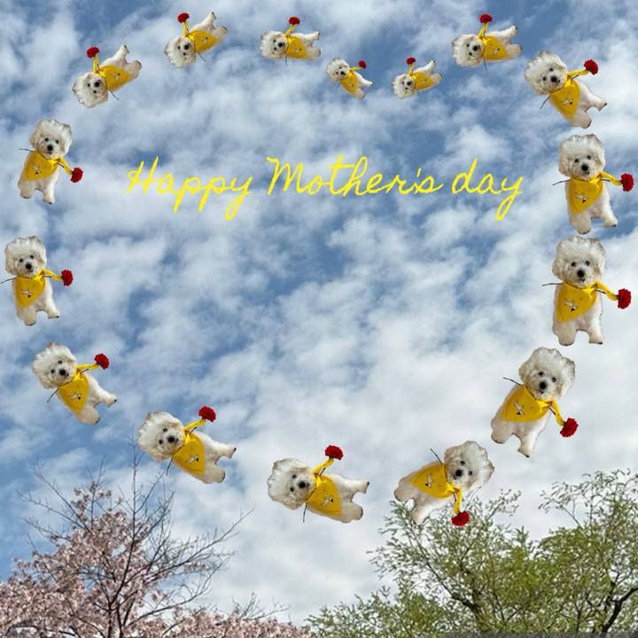 Fe4c4628 2350 4552 b485 a935fae8caaf 1746917557350