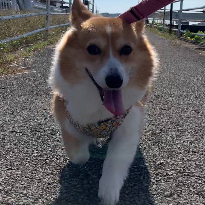 Fe4c6518 739e 4e14 b595 b421e3cd8495 1668225350436