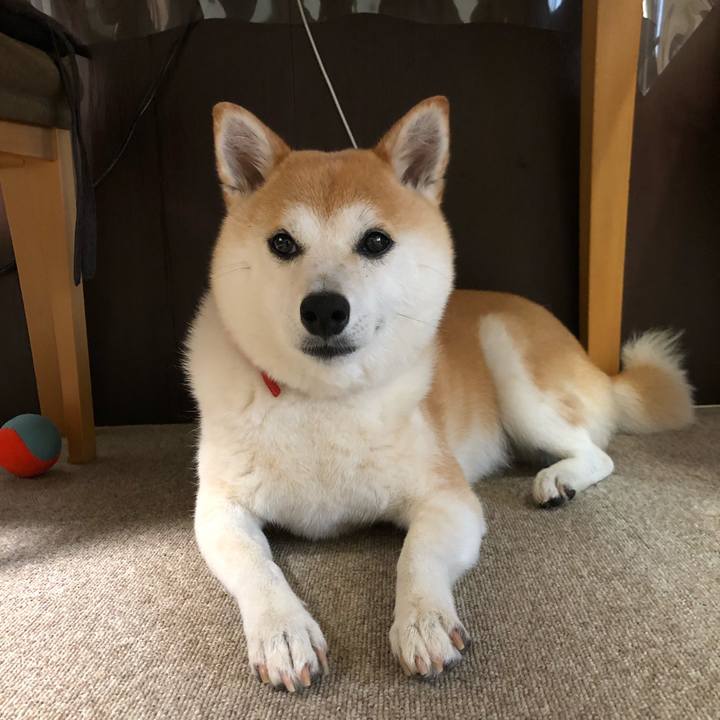 Fe4c7577 3e63 4c77 9e0f b1b794cf43a6 1625649553478