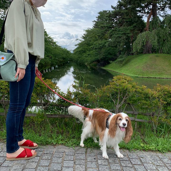 Fe4c762f 90da 478e a36a 9856906651dc 1595759016640