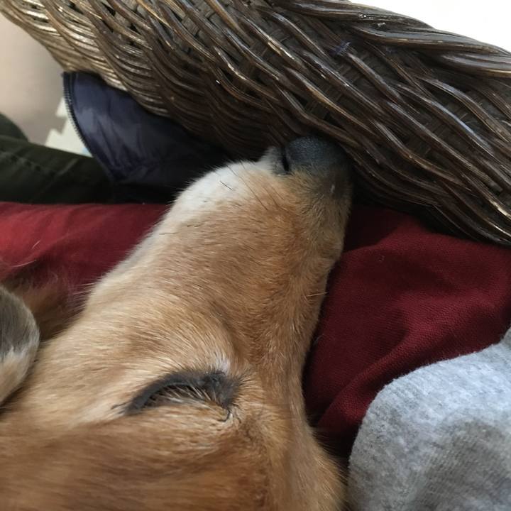 Fe4c8edf d8ee 4d57 913e 555e33d0d433 1602328903828