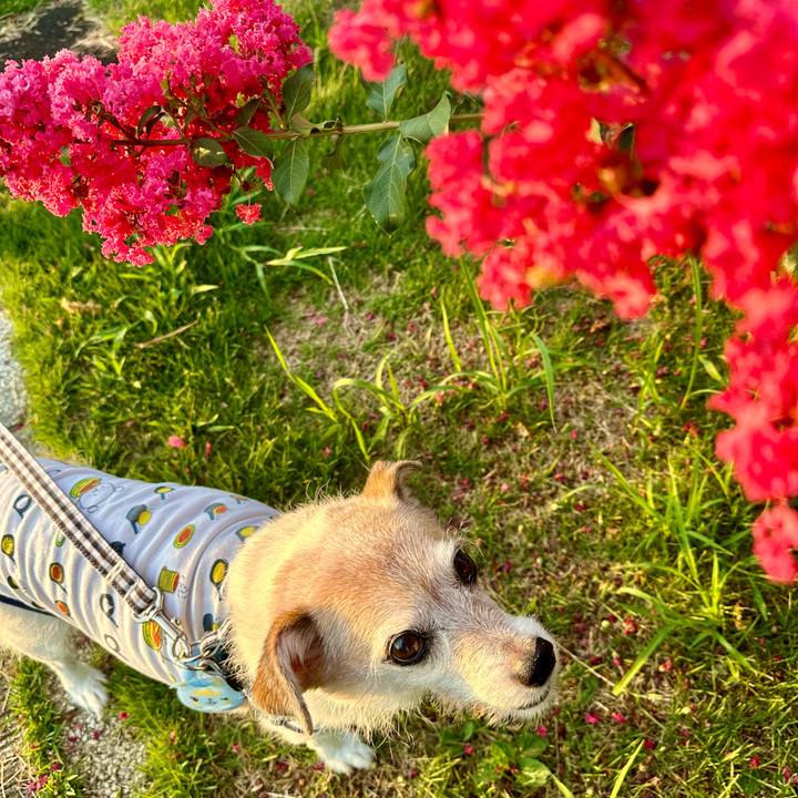 Fe4d0254 df28 4bac a92e 6ef4a8520088 1723335603023