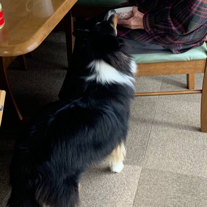 Fe4d120c 2e1f 4f8b 96b5 26143f58e11b 1572736298282