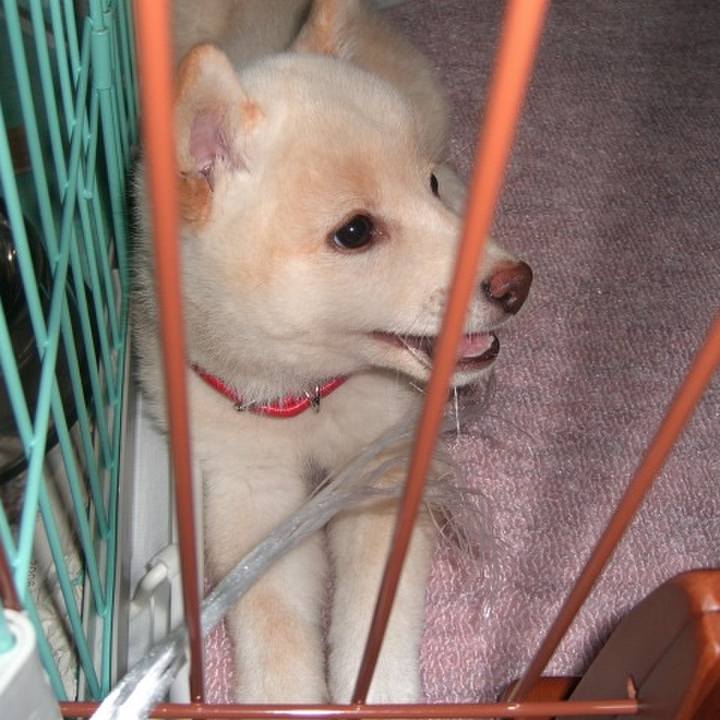 Fe4d29af 5364 49c4 bf69 bd2f84765e2e 1639645941765