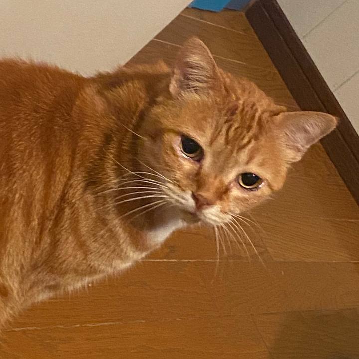 Fe4d5de9 7101 4e99 8552 091a5d743f08 1585839764027