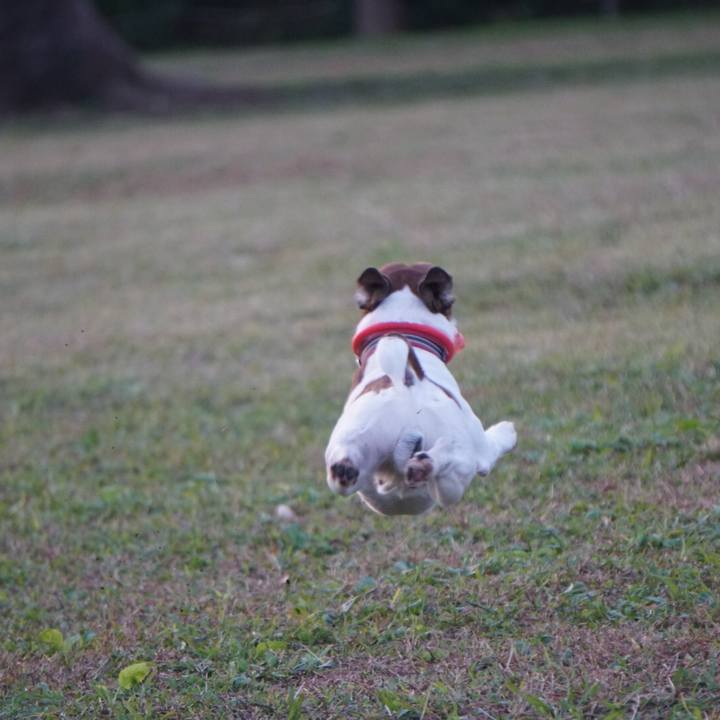 Fe4d7041 3b41 44e1 afce 43d2ce9cdb1c 1573771680083