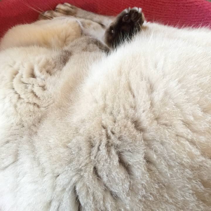 Fe4d7786 0085 40bc 879a 873d7f0c94d3 1530837435879