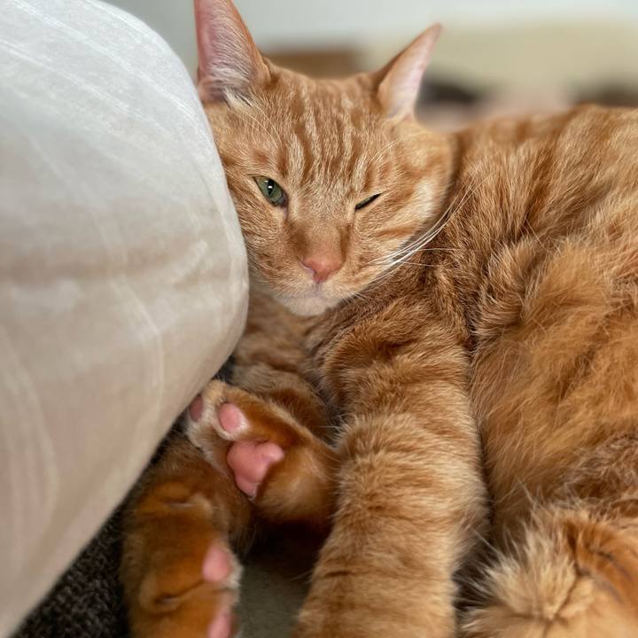 Fe4d7b5a ad87 49c7 972e fa9fd4af0135 1679457381921