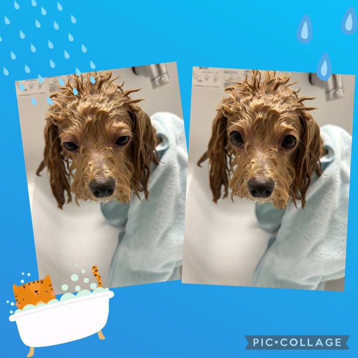 Fe4d9476 b172 4ca3 beca 6a2261d819ce 1753600737771