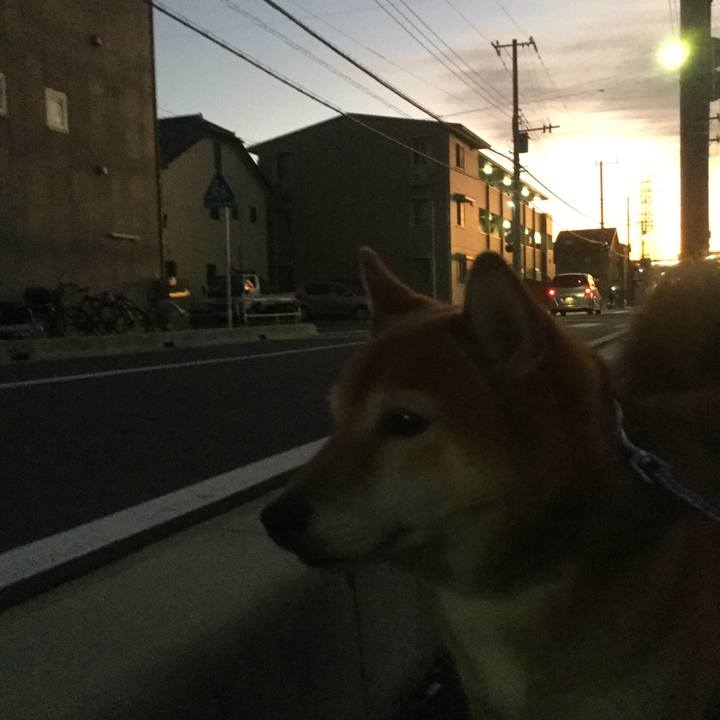 Fe4db5df f8f3 401e 976b eea805e33eaa 1570958255372