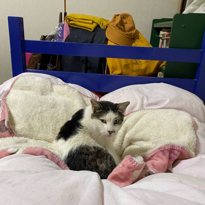 Fe4dc4fe 6f9c 43fe 9311 bc6288aeeca1 1614684252390